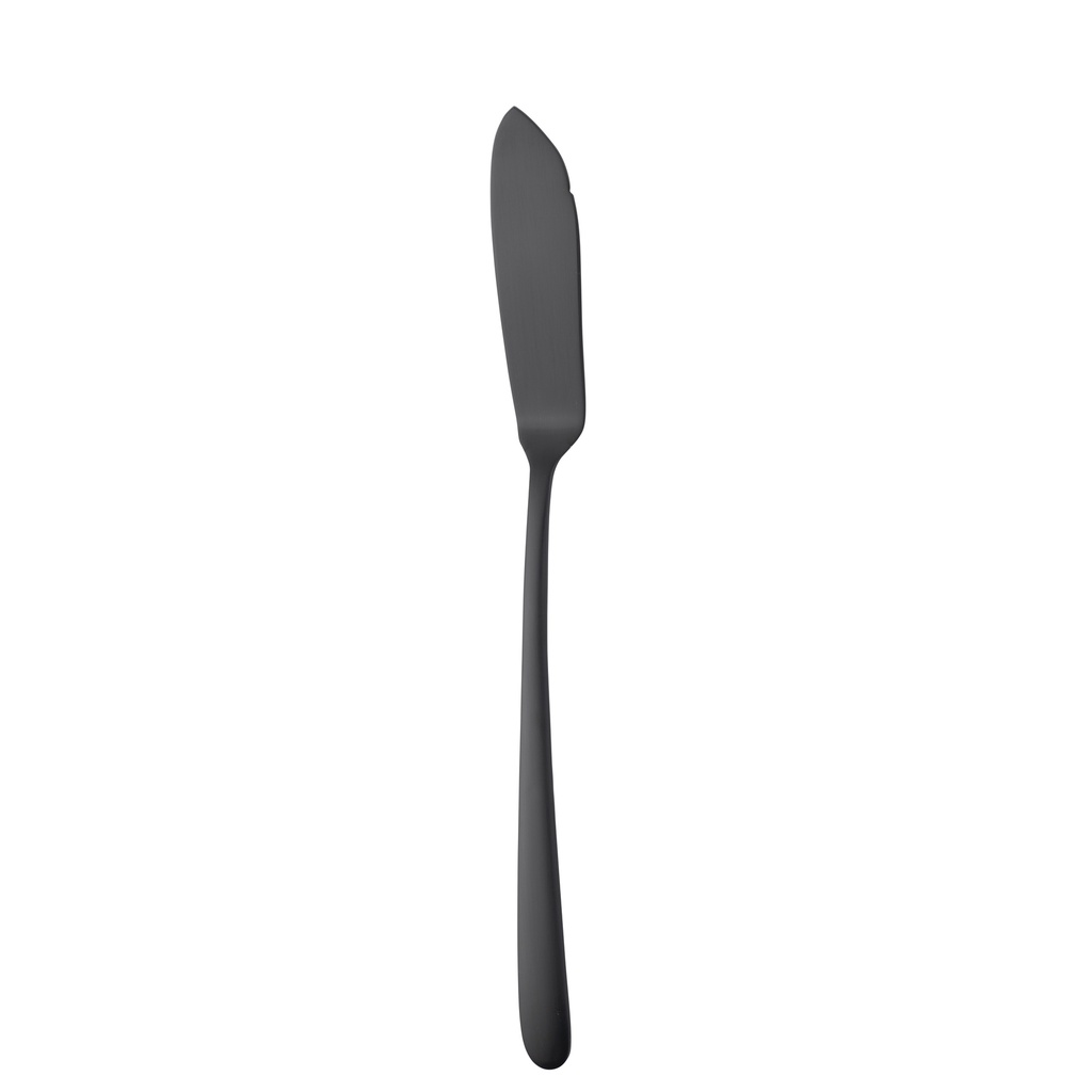 Sola - Vismes Ibiza 18/0 zwart satijn PVD (22,8 cm, 12 stuks)
