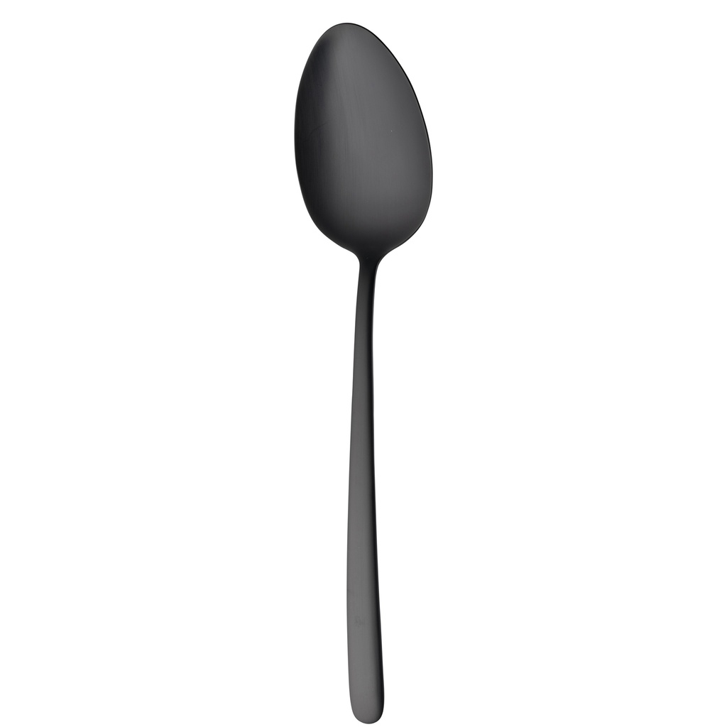 Sola Ibiza PVD Satin Black Serveer lepel