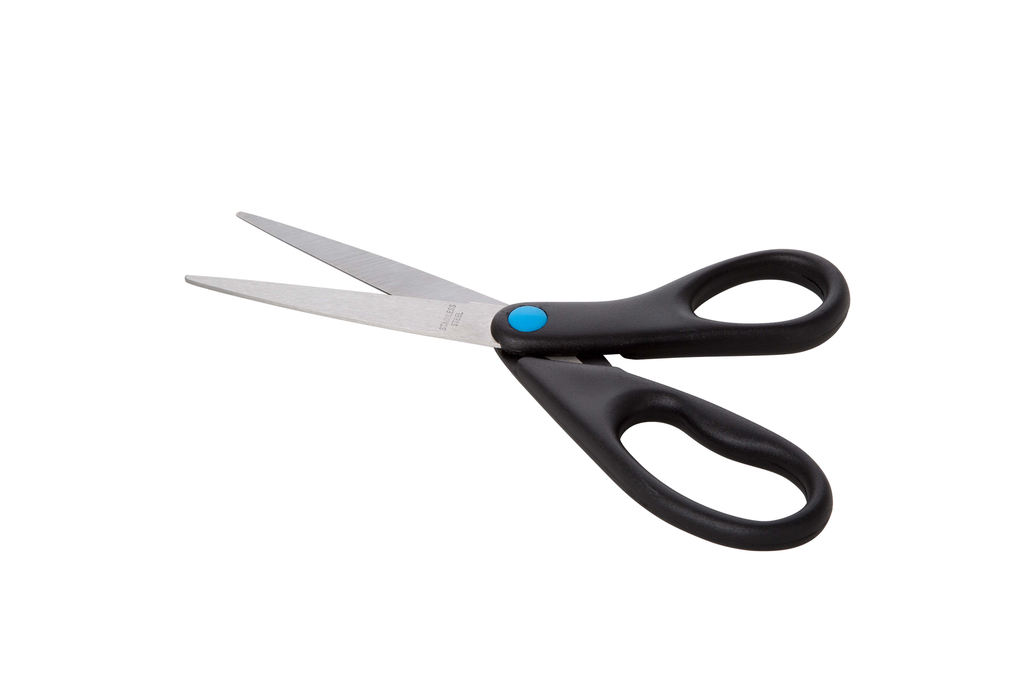 Schaar 21,5 cm (1 stuk)