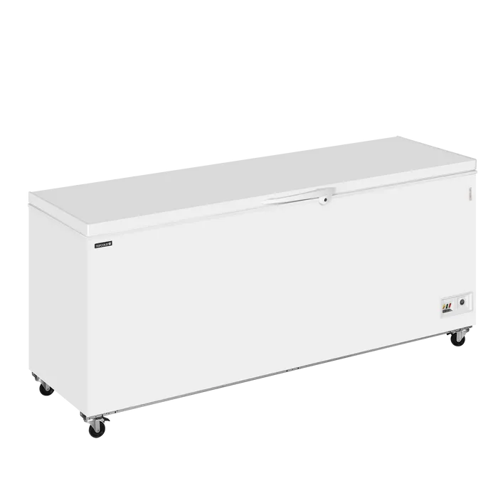 Tefcold - Diepvrieskist CF700 SL