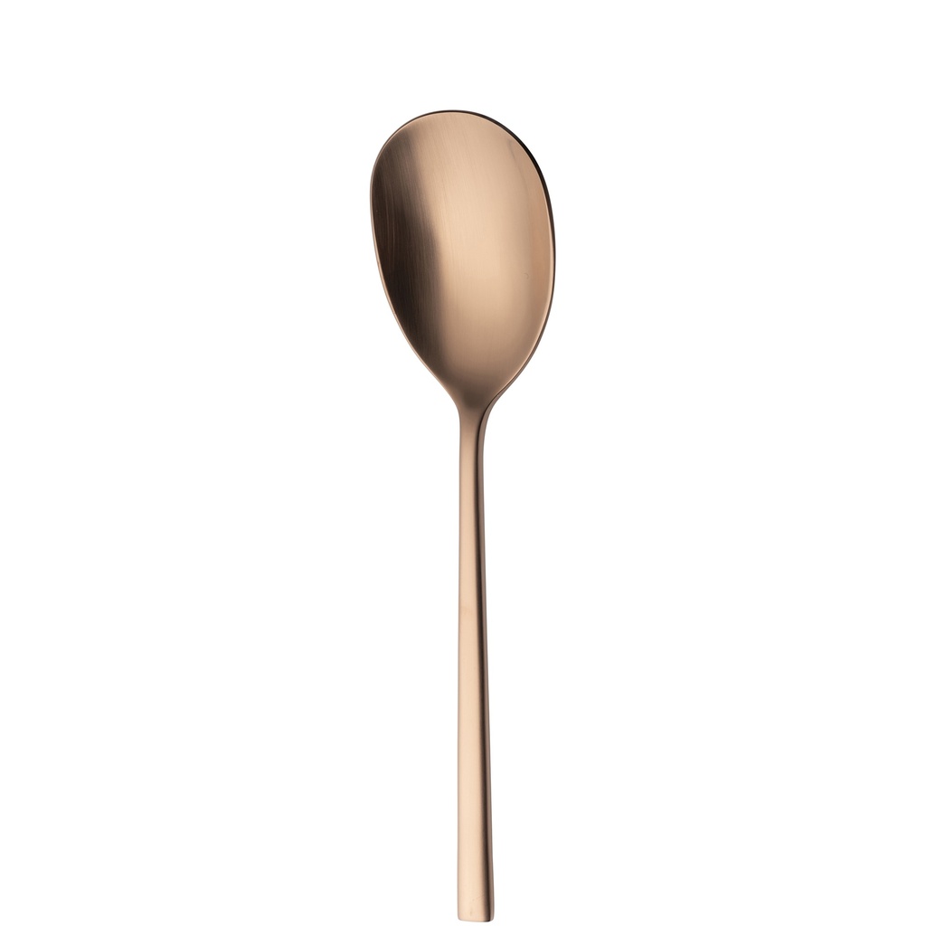 Sola - Saladelepel Montreux 18/10 koper satijn PVD (21,6 cm)