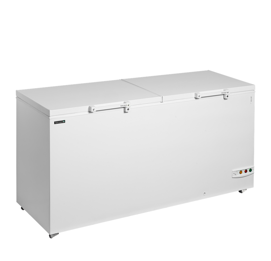 Tefcold - Diepvrieskist FR606 SL