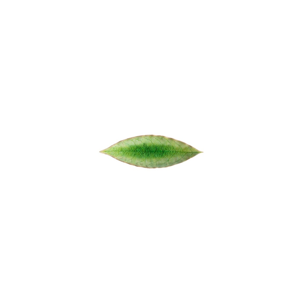 Costa Nova - Blad laurier Riviera tomate (18 cm, 6 stuks)