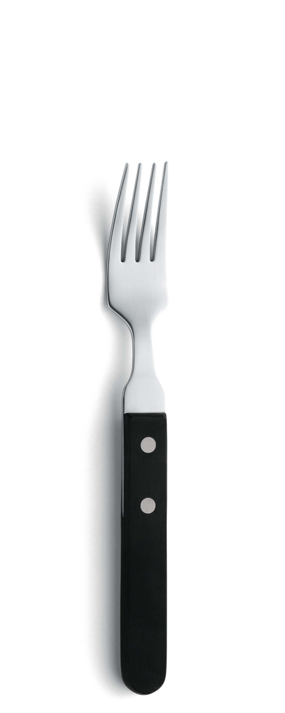 Amefa - Steakvork 7000 Steak Kunststof-rvs zilver (20,1 cm, 12 stuks)