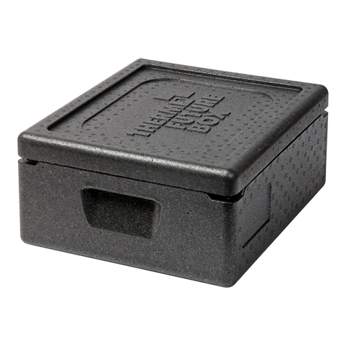 thermo-box 10l.1/2-100 Eco