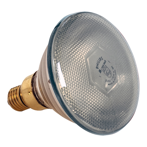 warmtelamp wit 175W