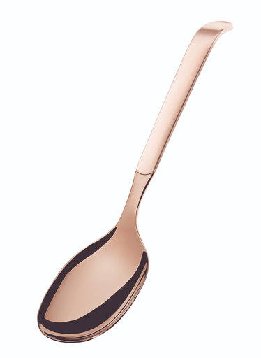 [DTH47023] Amefa - Serveerlepel 1319 Buffet 18/10 koper (25 cm, 6 stuks)