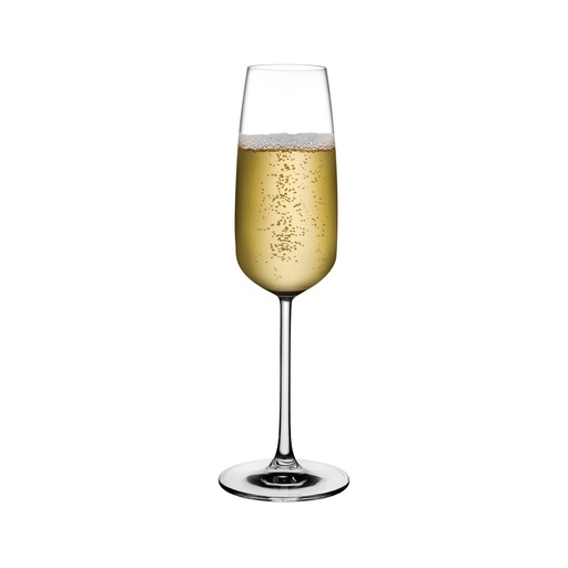 [DTH48247] Mirage champagneglas 245 ml (6 stuks)