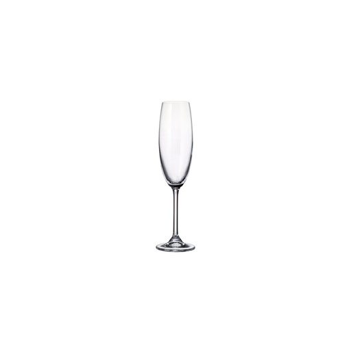 [DTH48863] Colibri champagne glass 220 ml (6 stuks)