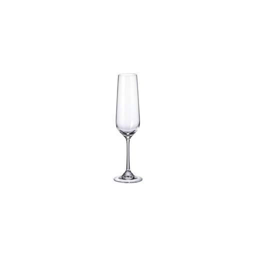 [DTH50085] Strix champagne glass 200 ml (6 stuks)