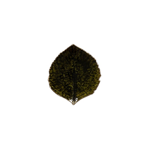 Costa Nova - Blad hortensia Riviera forêts (17 cm, 6 stuks)