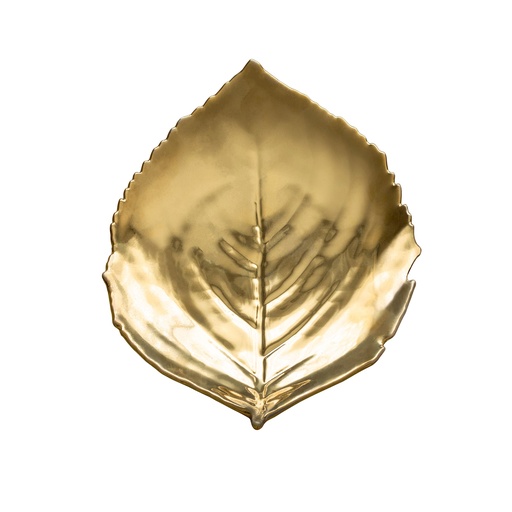 Costa Nova - Blad hortensia Riviera or (22 cm, 6 stuks)
