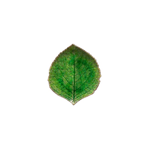Costa Nova - Blad hortensia Riviera tomate (17 cm, 6 stuks)