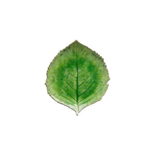 Costa Nova - Blad hortensia Riviera tomate (22 cm, 6 stuks)