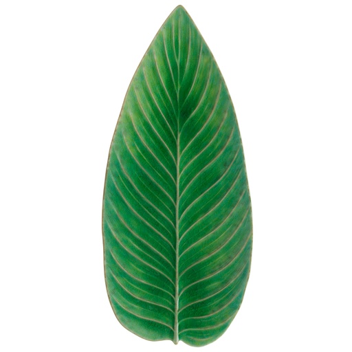 Costa Nova - Blad strelitzia Riviera tomate (40 cm, 2 stuks)