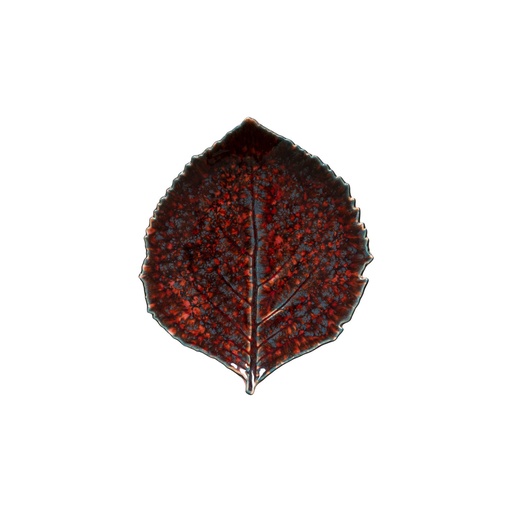 Costa Nova - Blad hortensia Riviera vigne (22 cm, 6 stuks)