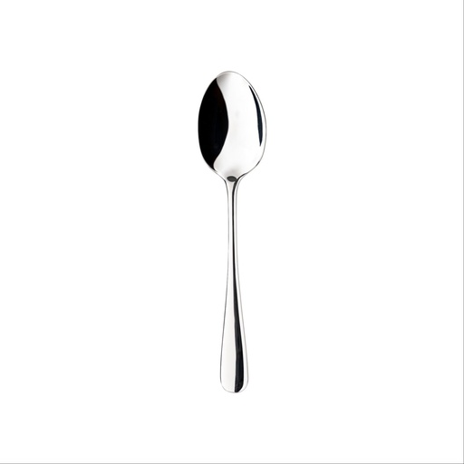 Costa Nova - Serveerlepel Lumi high shine (25,2 cm, 1 stuk)
