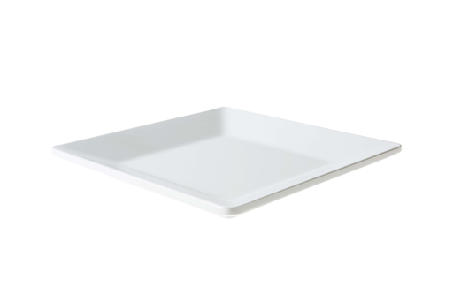 [DTH00347] Truyts - Bord melamine wit (21 x 21 cm, 24 stuks)