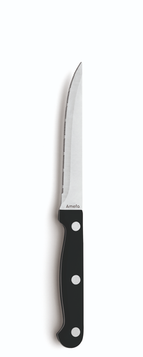 [DTH02049] Amefa - Steakmes met Franse kartel 7025 Steak Kunststof-rvs (21,7 cm, 12 stuks)