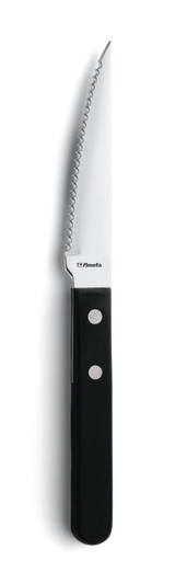 [DTH02053] Amefa - Steakmes 7000 Steak Kunststof-rvs zilver (21 cm, 12 stuks)