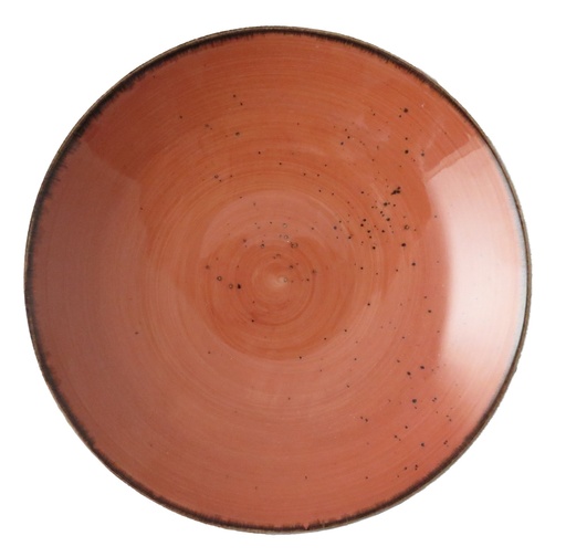 [DTH01478] Rustic coup bord plat 27 cm terracotta