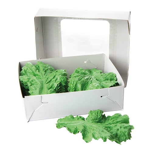 [DTH08738] decoratie-Sla doos a 16 stuks