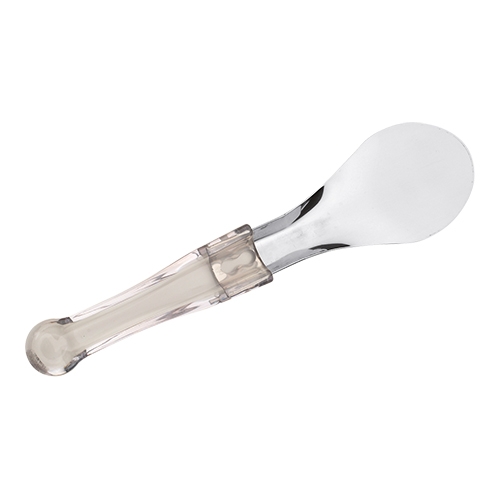 [DTH09491] ijsschep/spatel rvs-transp.