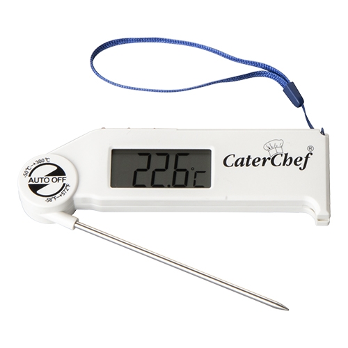 [DTH11189] digitale thermometer -50/+300