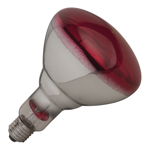[DTH11872] warmtelamp rood 250W