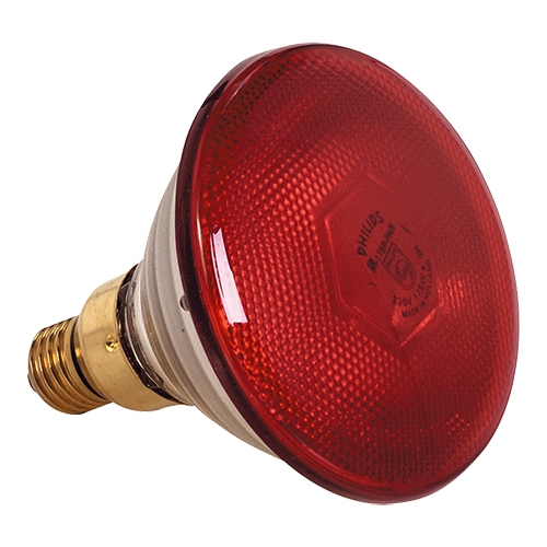 [DTH11884] Warmtelamp rood 175W